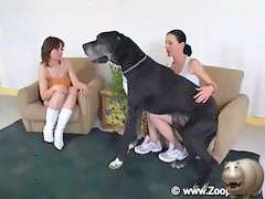 Two sisters and a big dog